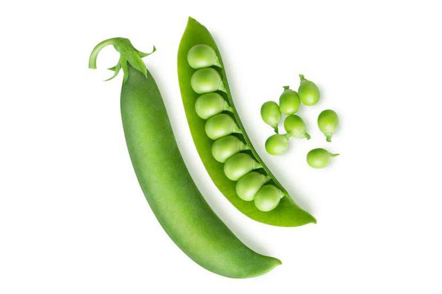 Beans