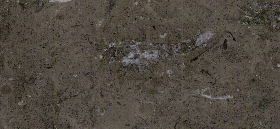 Melli Brown Marble