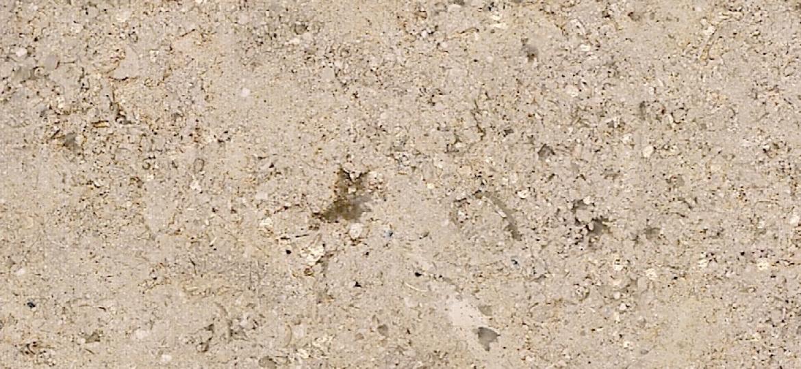 Terista Marble